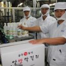 공주알밤