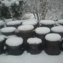 오대산내고향 이미지