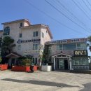 표선리-27 | 표선 물회 점심특선 어로횟집에서 혼밥 내돈내산 후기 과연?