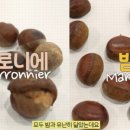 어번던트리 네이버블로그