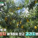 이재권농장 네이버블로그