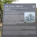 천곡 마을회관 이미지