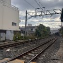 버스승차대 15-211 | 오사카 교토 일일 버스투어 내돈내산 당일치기 코스 추천