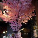 씨유삼산미래점 | 울산 삼산 이자카야 도쿄밤 솔직후기 울산 달동 술집 추천