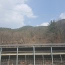 신기태양광발전소 이미지