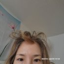 칼라 헤어 크리닉 | 강남구청역 미용실 비오른헤어 탈색모 헤어클리닉 후기 w/ 백아현 디자이너