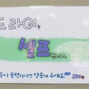 구피샵화정점 네이버블로그