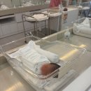 도곡2-110 | 고양 에끌라마마 13박 14일 내돈내산 후기②(신생아 케어, 소아과 회진, 마사지 , 골반교정)