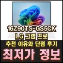 라이브PC | 16Z90TS-GS5CK LG 그램 프로 추천 이유와 단점 후기 라이브 특가 혜택