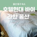 방어진문화센터 | 울산동구 호텔현대 바이 라한 울산 할인예약팁