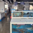 서부두한라 이미지