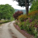 느므즈므 이미지