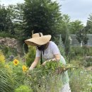 나무그늘 포토타임 이미지