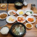 장승포1로 | 거제도 장승포힘스지 한우스지탕 후기 현지인 추천 가성비 맛집