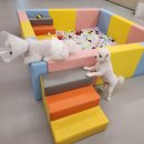 연제구-120 | 부산 연제구 강아지 반려견호텔 유치원 | 120평 대규모의 멍스쿨 다녀온 후기