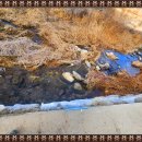 배산농장 이미지