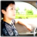 해리고등학교 이미지