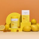 데일리 핏 이미지