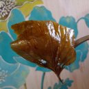 남도찬방 이미지