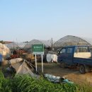 형제농장B 이미지