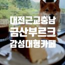 [대전충남] 반려동물 동반 여행 필수코스 대형 카페 라떼 맛집 금산부르크