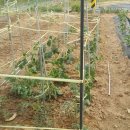 예진농장 이미지