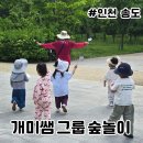 청운푸른공원 | 봄 숲놀이 3세 그룹 수업 나비 한살이