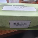 건강한몸