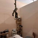 용산-212 | 용산 마사지 후기 브레인팡아로마 머리가 맑아지는 이어&amp;브레인테라피