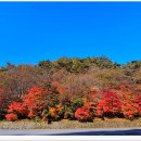 강천산군립공원 이미지