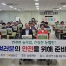 비금 이미지