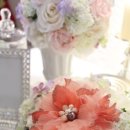 로렐라인 이미지