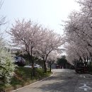 삼원화원 이미지