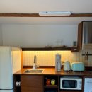 막다른 둥지 이미지