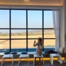 달레메종 이미지