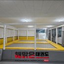 해맑은 태권도장 이미지