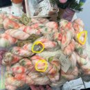 핸드메이드 솜솜 이미지