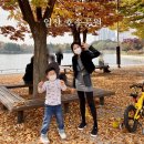 서울근교 가볼만한곳 일산 호수공원 가을풍경 - 일상