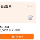 콩알 이미지