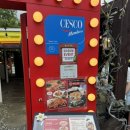 두꺼비 애견 이미지