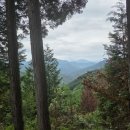 하동편백자연휴양림 이미지