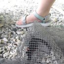 숲이조아캠핑장 이미지