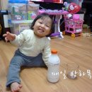 서희목장 이미지