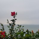 한국폴리텍 V 대학 광주캠퍼스 | [2025전문대 학과별 등록금] 한국폴리텍 V 대학 광주캠퍼스