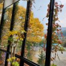 카페 벅헤드 이미지