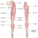 클린짐휘트니스 이미지