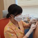 삼복한의원 이미지