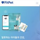 주식회사 핏펫 이미지