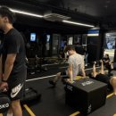 분당태권도장 이미지