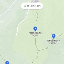 용산리2 소교량 42 | 모나용평 발왕산 케이블카 최단코스 반려동물 동반 | 발왕산 스카이워크